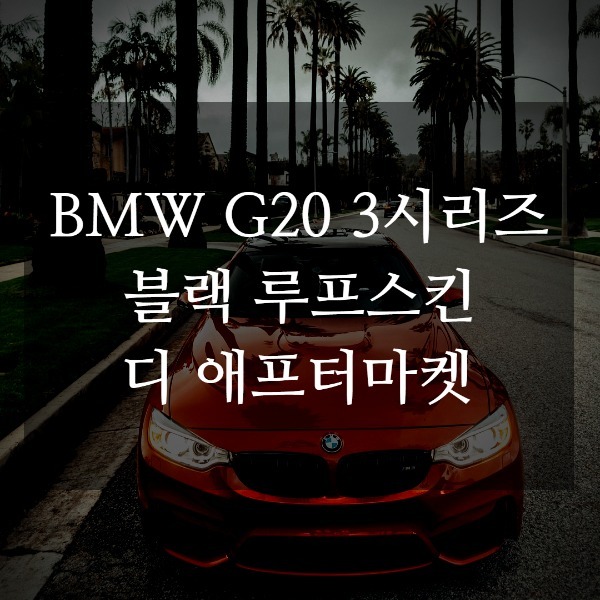 [체크아웃] BMW G20 3시리즈 전용 블랙 루프스킨 시공