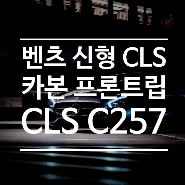 [체크아웃] 벤츠 C257 신형 CLS 전용 카본 프론트립