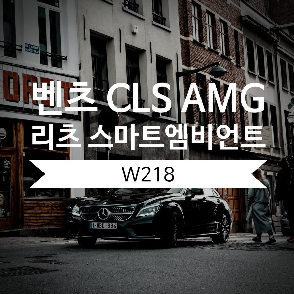 [체크아웃] 벤츠 W218 CLS 전용 리츠 스마트 엠비언트 시공